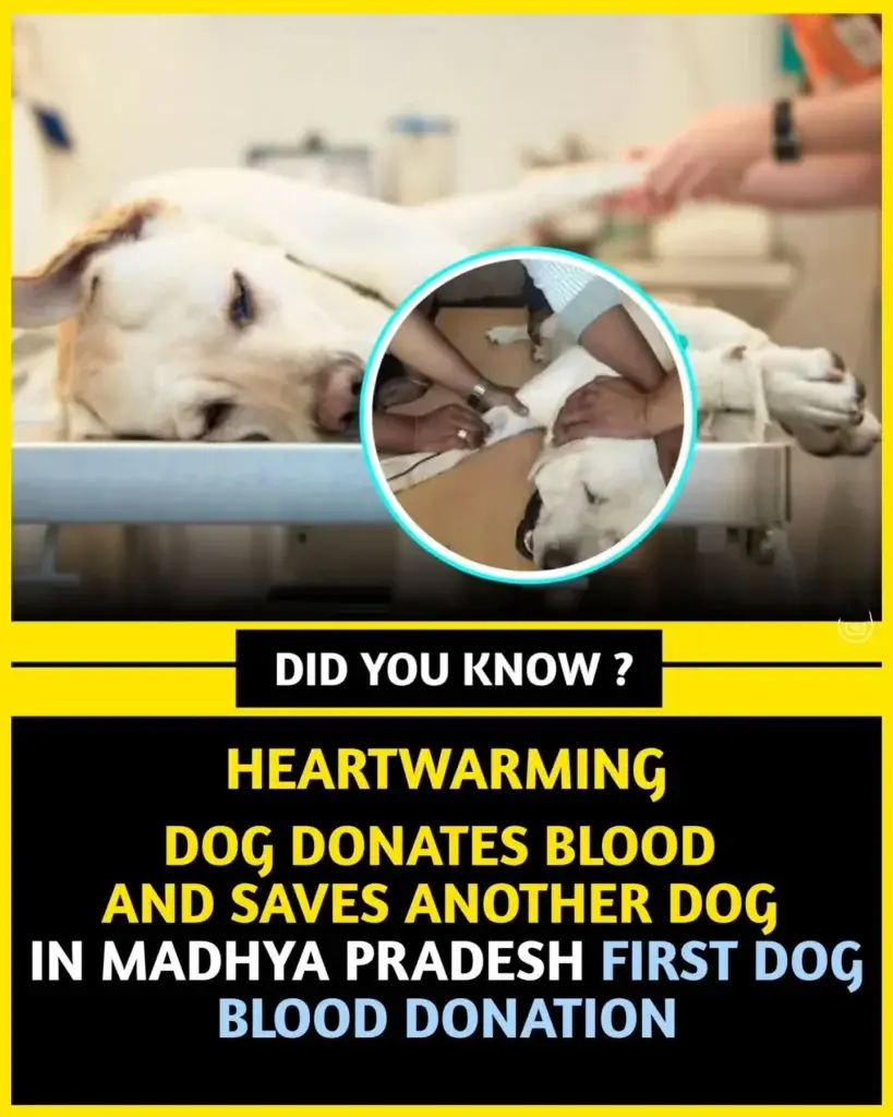 What Are 10 Interesting Facts About Life? 10 100+ World Facts in English - Top Interesting Facts