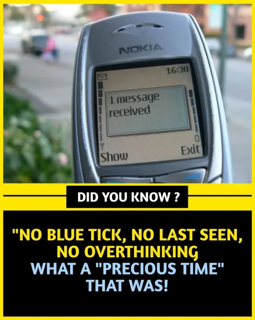 100+ World Facts in English - Top Interesting Facts 7 100+ World Facts in English - Top Interesting Facts