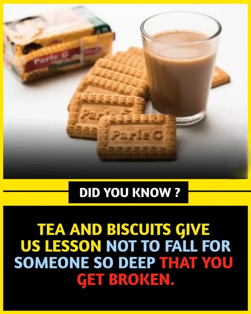 100+ World Facts in English - Top Interesting Facts 4 100+ World Facts in English - Top Interesting Facts