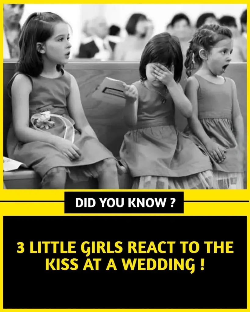 What Are 10 Interesting Facts About Life? 7 100+ World Facts in English - Top Interesting Facts