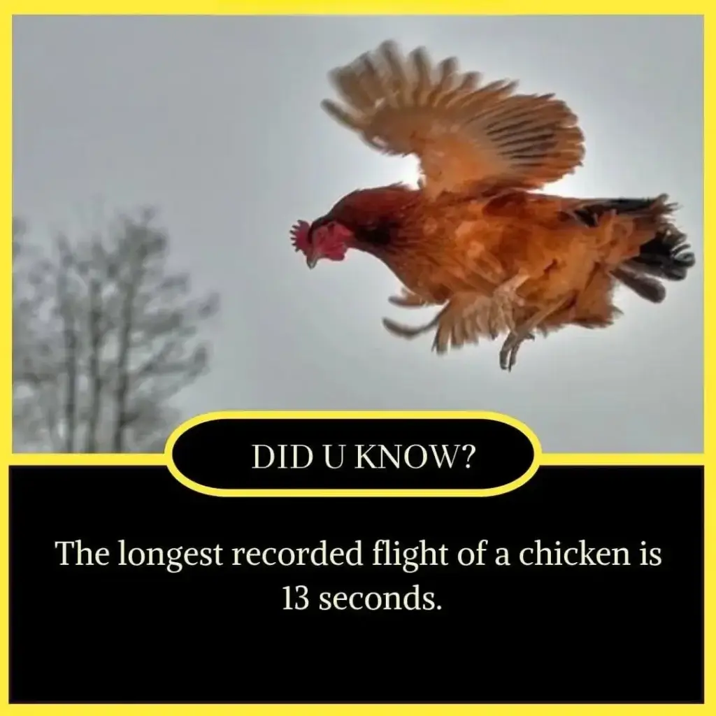 10+ Short Amazing Facts in English - Facts in English 4 Short Amazing Facts in English