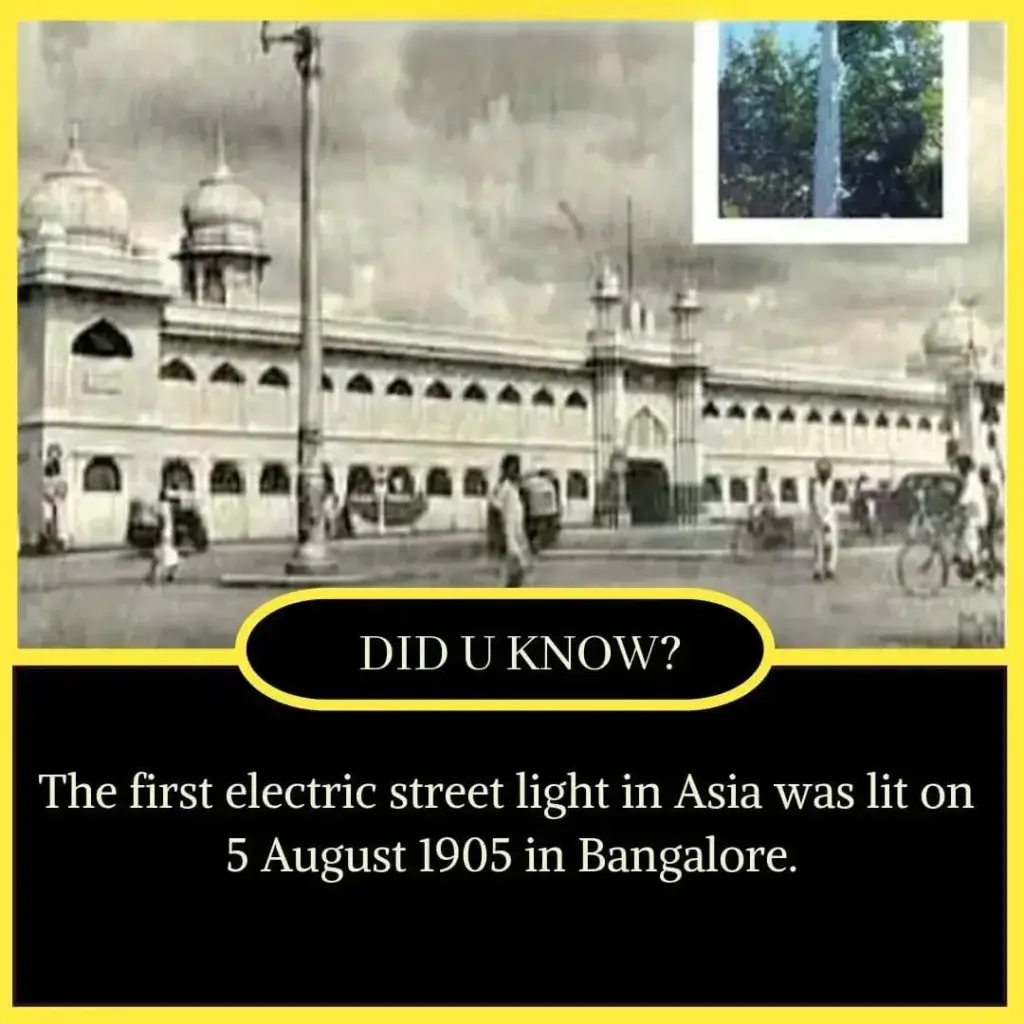 10+ Short Amazing Facts in English - Facts in English 3 Short Amazing Facts in English