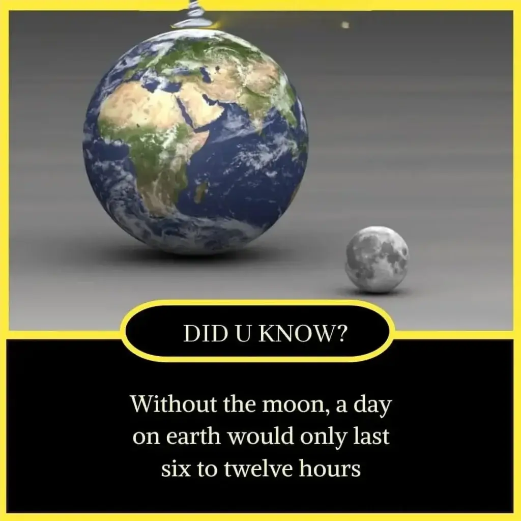 10+ Short Amazing Facts in English - Facts in English 2 Short Amazing Facts in English